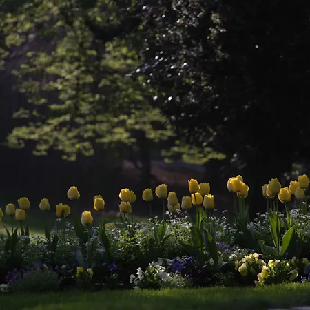 Les De Catherine, La 35 公寓 南锡