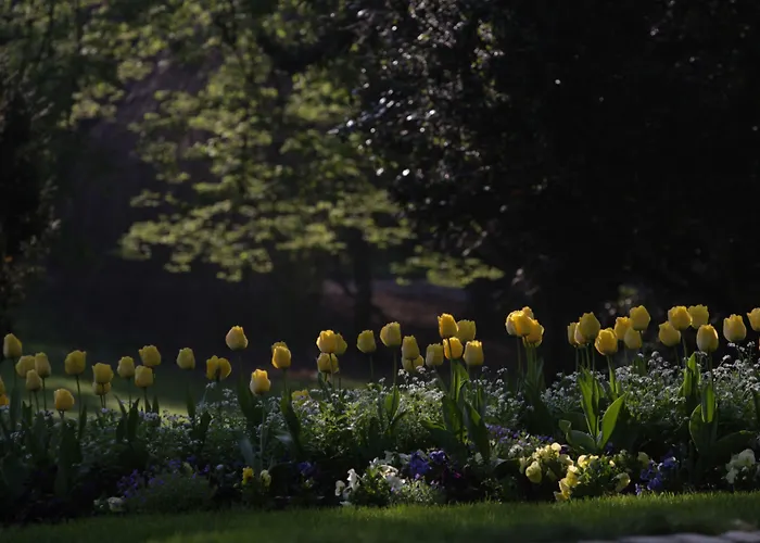 Les De Catherine, La 35 아파트 낭시